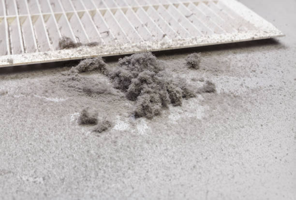 Best Ductwork Cleaning Services  in New Lebanon, OH
