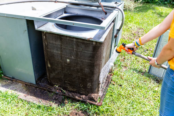 Best Air Duct Mold Removal  in New Lebanon, OH