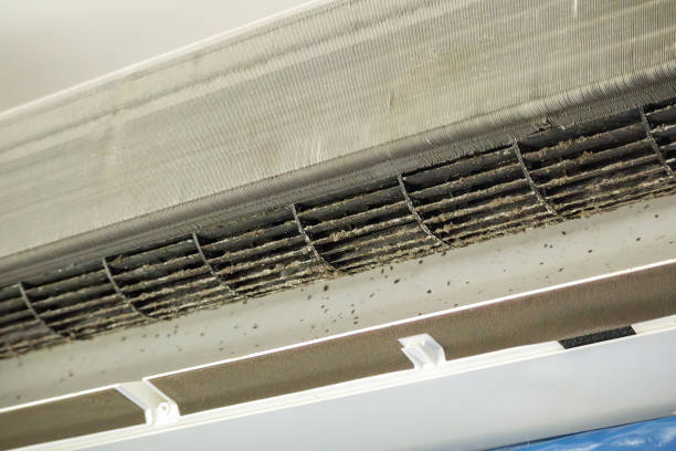 Best Commercial Air Duct Cleaning  in New Lebanon, OH